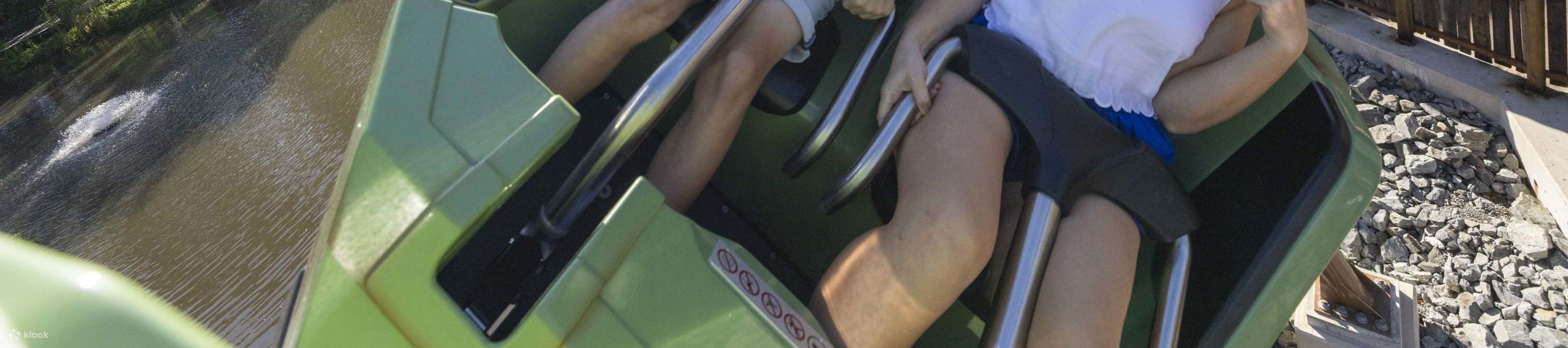 biglietti per il mondo dei sogni - giro sulle montagne russe